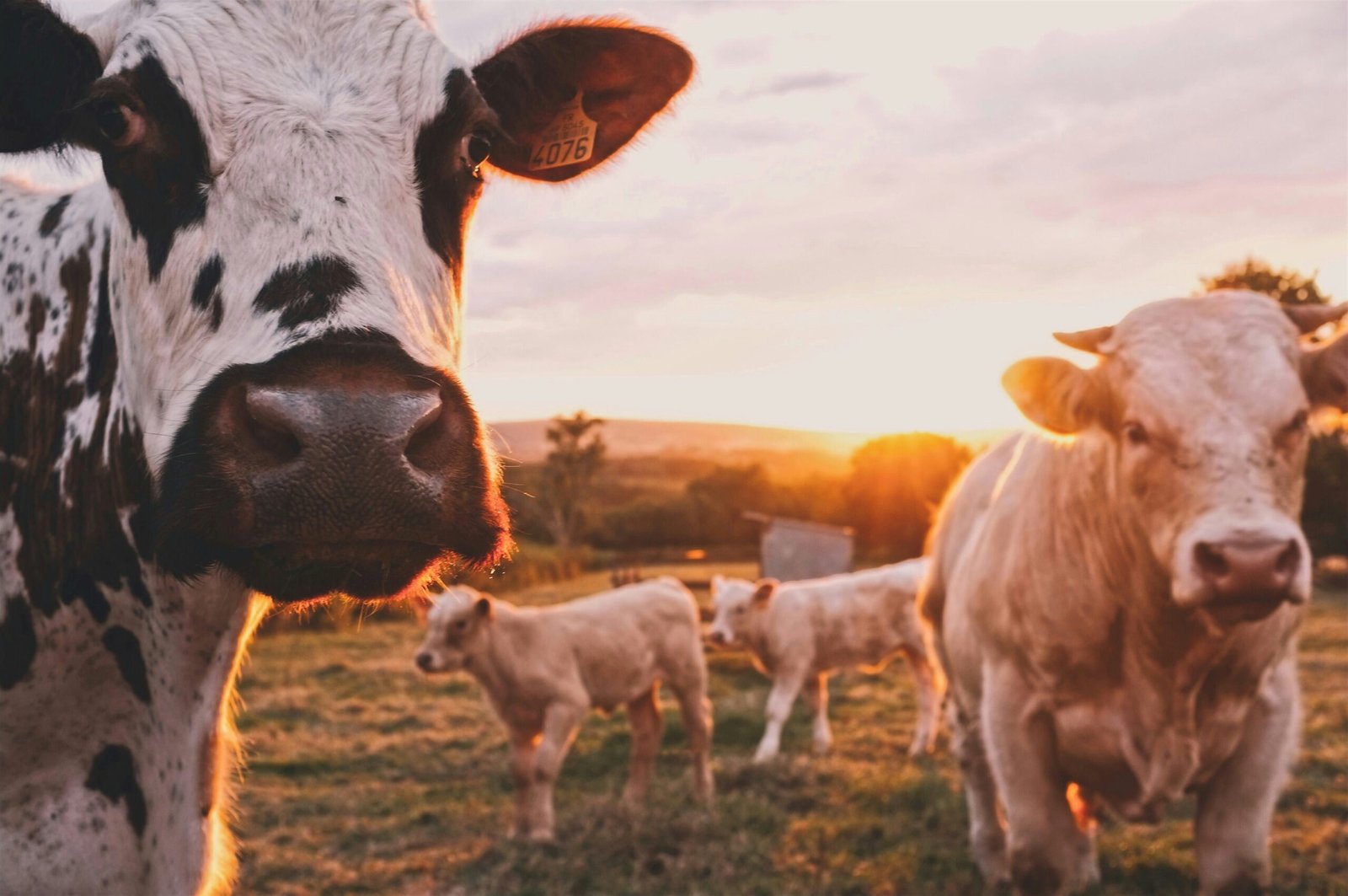 stijn-te-strake-UdhpcfImQ9Y-unsplash-min